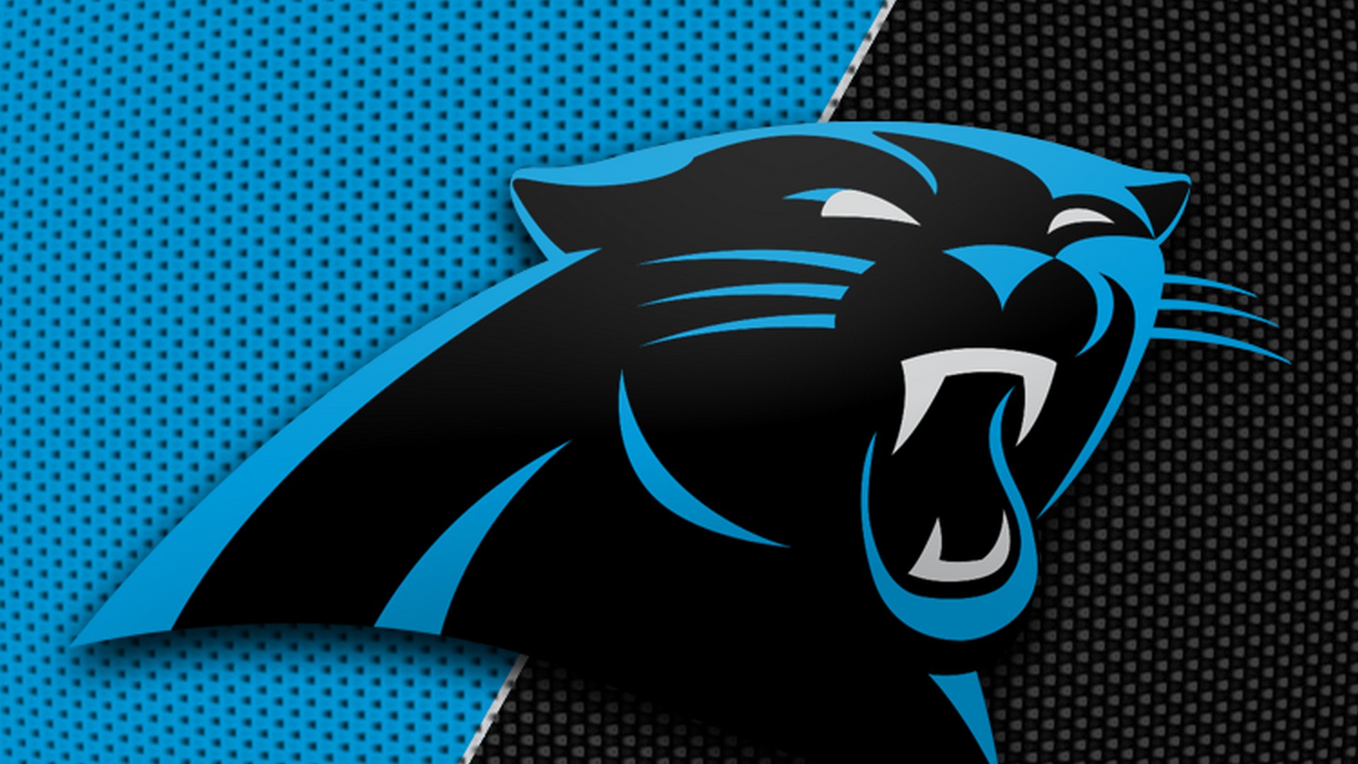 Backgrounds Carolina Panthers HD With Resolution 1920X1080