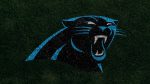 Carolina Panthers For PC Wallpaper
