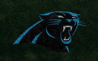 Wallpapers HD Carolina Panthers | 2020 NFL Football Wallpapers