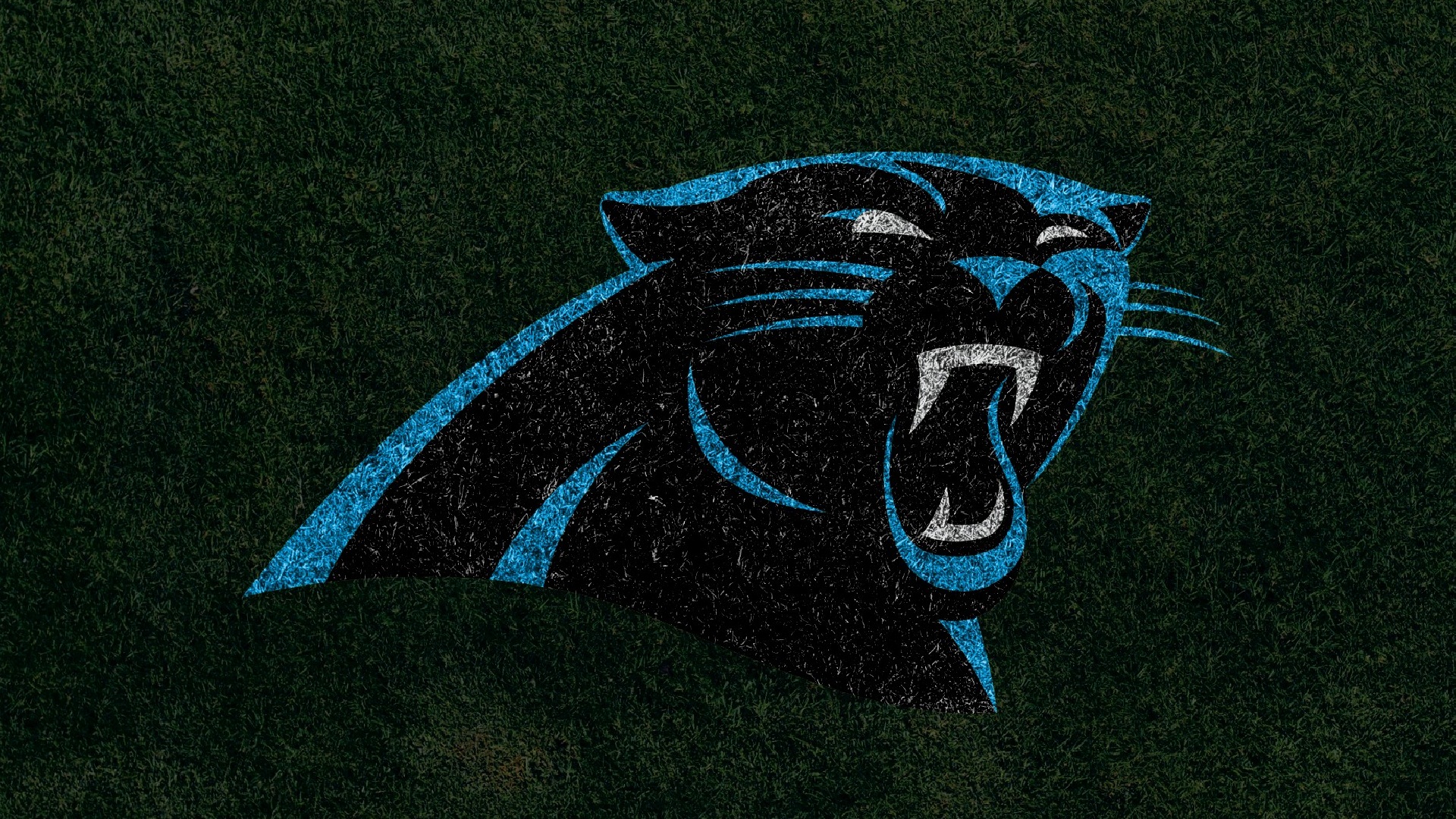 Carolina Panthers For PC Wallpaper With Resolution 1920X1080