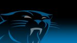 Carolina Panthers Wallpaper For Mac Backgrounds