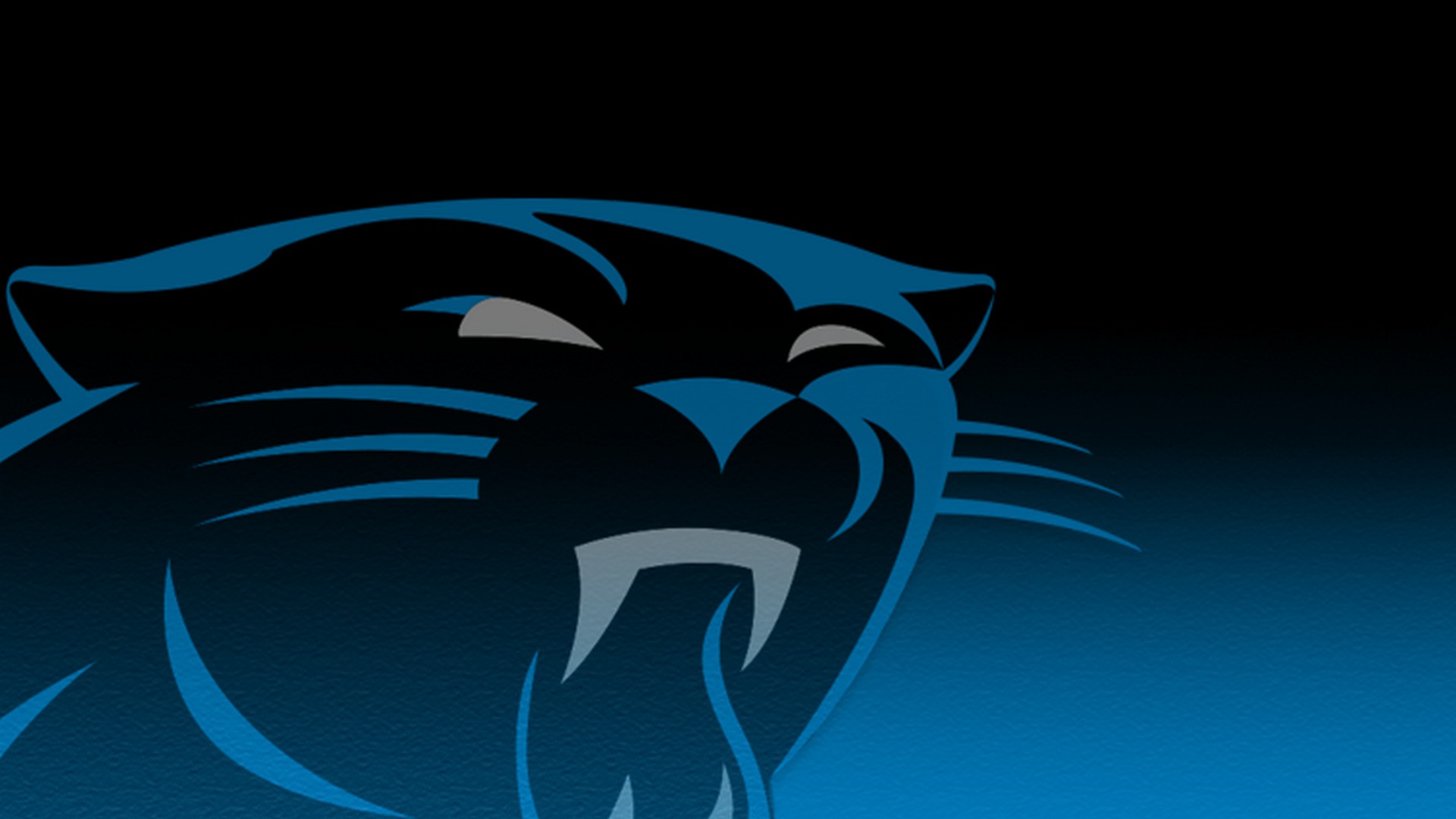 Carolina Panthers Wallpaper For Mac Backgrounds 1920x1080