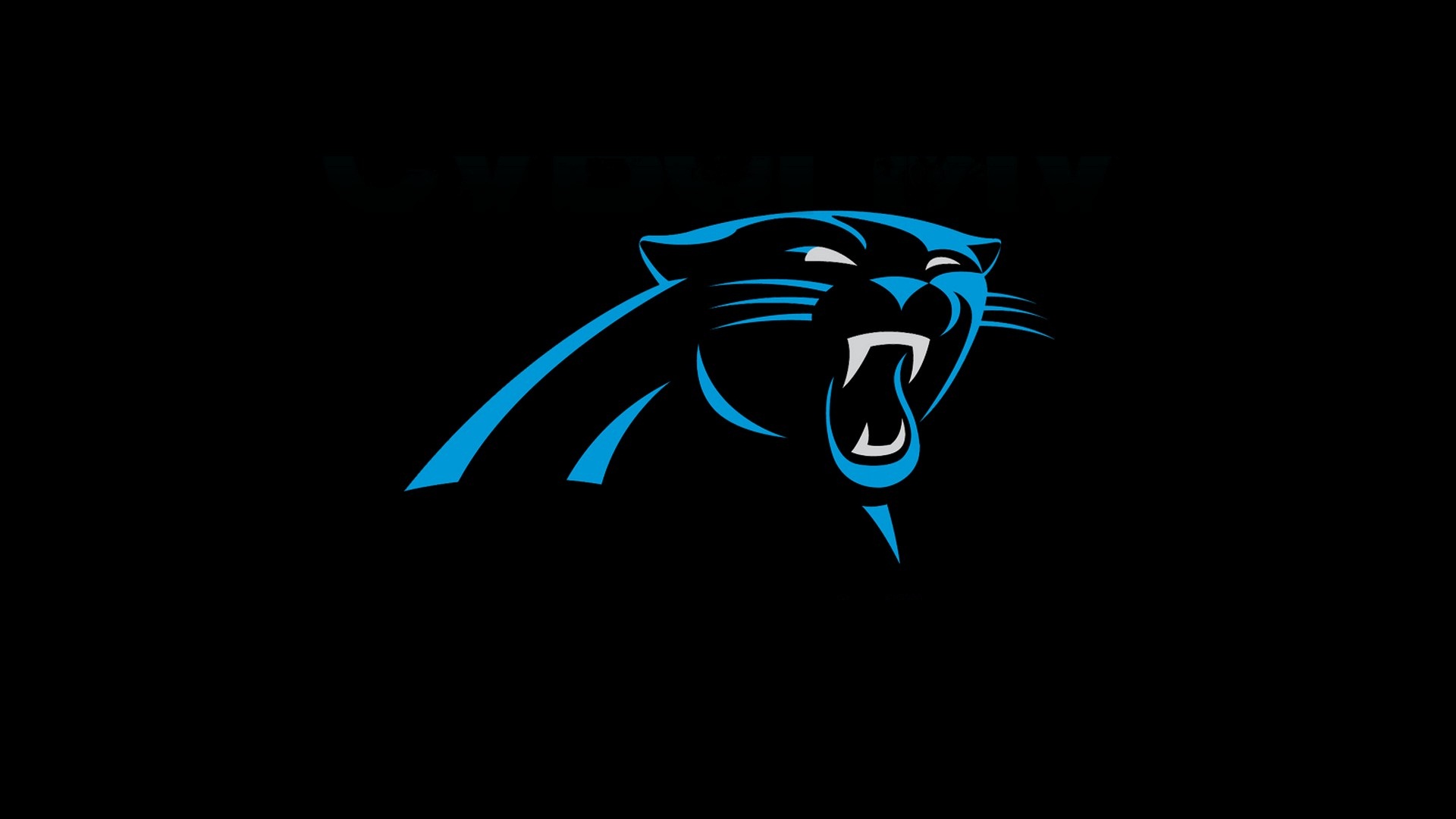 Carolina Panthers Wallpaper HD 1920x1080