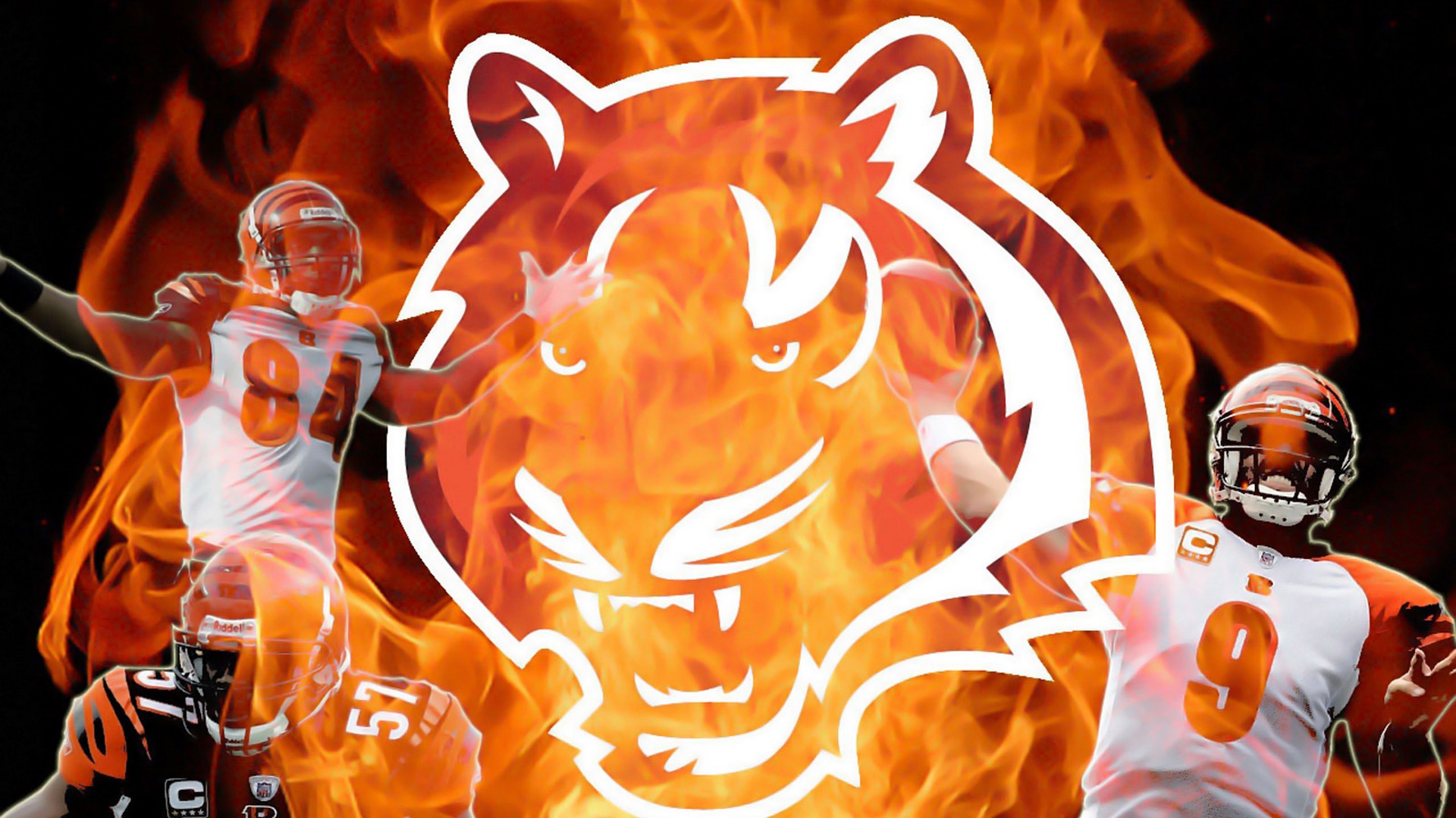 Cincinnati Bengals For Mac With Resolution 1920X1080