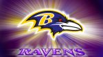 HD Backgrounds Baltimore Ravens
