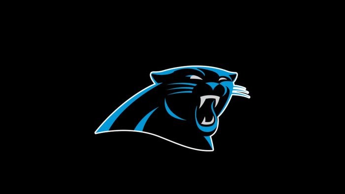HD Desktop Wallpaper Carolina Panthers - 2022 NFL Football Wallpapers