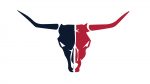 Houston Texans Mac Backgrounds
