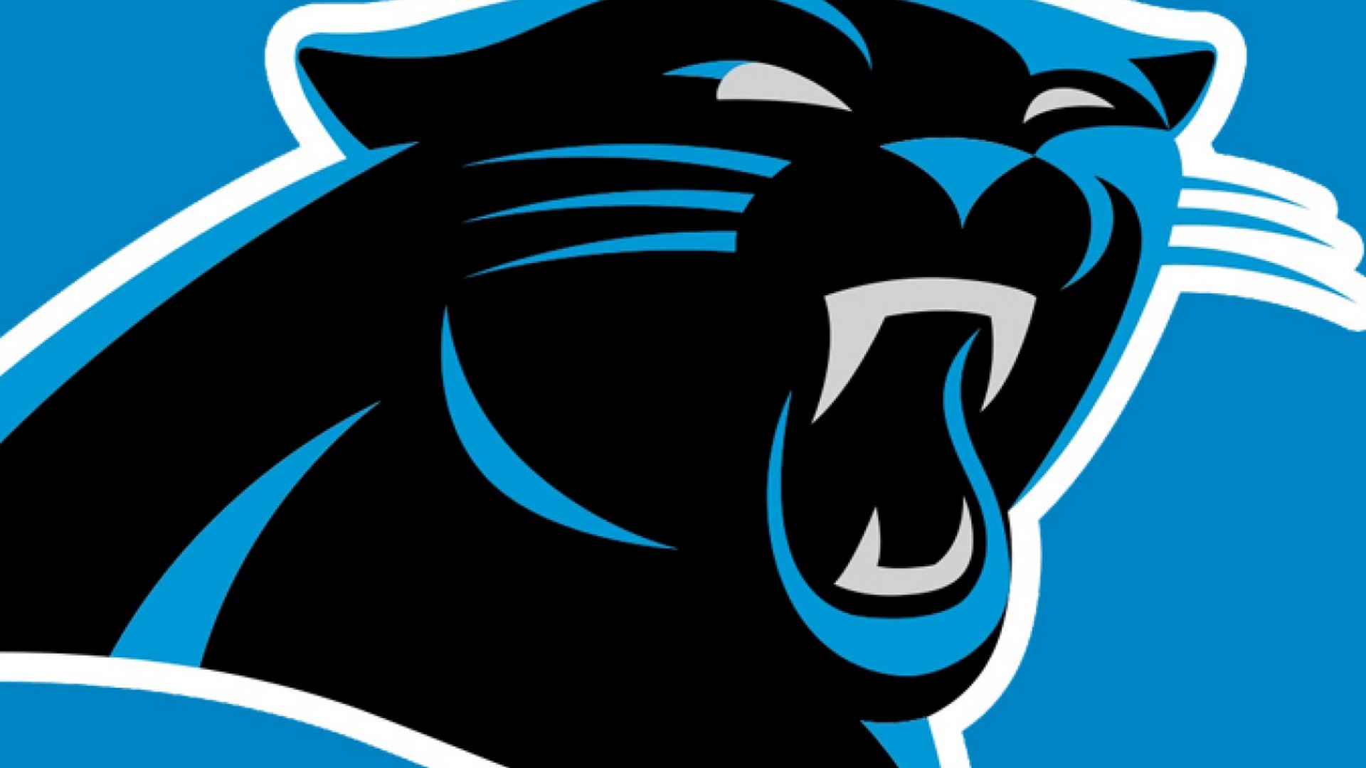 Wallpapers Carolina Panthers 1920x1080