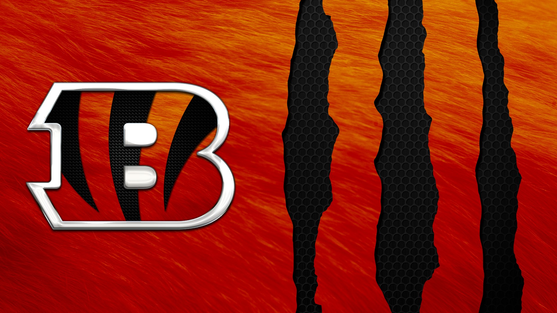 Cincinnati Bengals, cincinnatibengals, seizetheday, whodey, HD phone  wallpaper