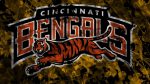 Wallpapers HD Cincinnati Bengals