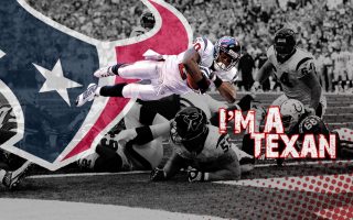 HD Houston Texans NFL Backgrounds With Resolution 1920X1080 pixel. You can make this wallpaper for your Mac or Windows Desktop Background, iPhone, Android or Tablet and another Smartphone device for free