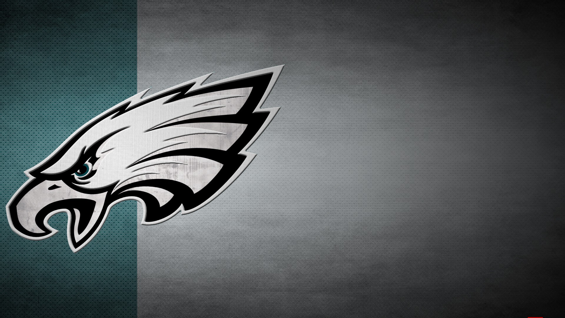 Eagles Backgrounds HD with resolution 1920x1080 pixel. You can make this wallpaper for your Mac or Windows Desktop Background, iPhone, Android or Tablet and another Smartphone device