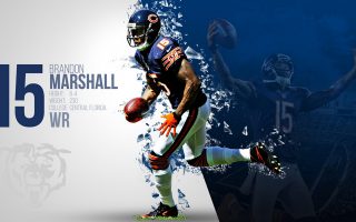 Chicago Bears NFL For Mac With high-resolution 1920X1080 pixel. You can use this wallpaper for your Mac or Windows Desktop Background, iPhone, Android or Tablet and another Smartphone device