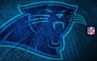 HD Panthers Wallpapers With high-resolution 1920X1080 pixel. You can use this wallpaper for your Mac or Windows Desktop Background, iPhone, Android or Tablet and another Smartphone device