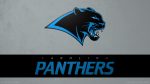 Panthers Backgrounds HD