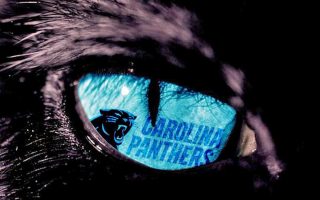 Panthers For Mac With high-resolution 1920X1080 pixel. You can use this wallpaper for your Mac or Windows Desktop Background, iPhone, Android or Tablet and another Smartphone device