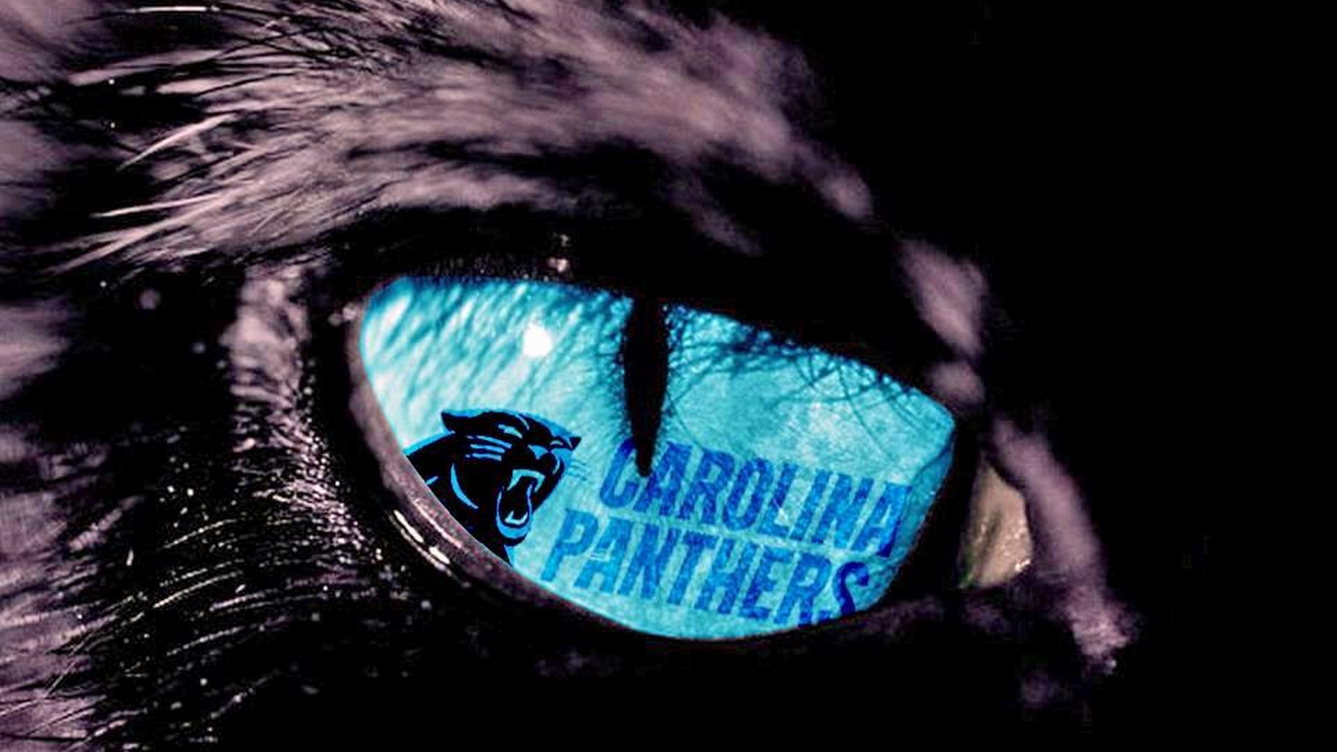 Panthers For Mac with high-resolution 1920x1080 pixel. You can use this wallpaper for your Mac or Windows Desktop Background, iPhone, Android or Tablet and another Smartphone device
