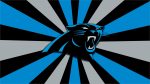 Panthers HD Wallpapers