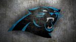 Panthers Mac Backgrounds
