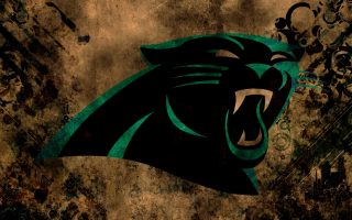 Panthers Wallpaper With high-resolution 1920X1080 pixel. You can use this wallpaper for your Mac or Windows Desktop Background, iPhone, Android or Tablet and another Smartphone device