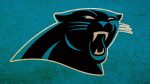 Wallpapers HD Panthers