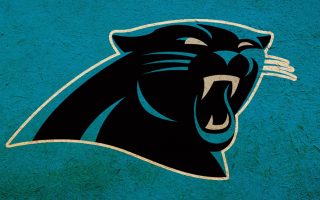 Wallpapers HD Panthers With high-resolution 1920X1080 pixel. You can use this wallpaper for your Mac or Windows Desktop Background, iPhone, Android or Tablet and another Smartphone device