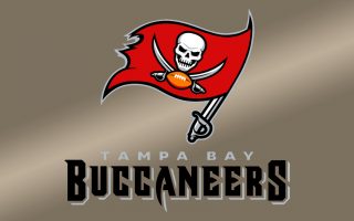 Tampa Bay Buccaneers Logo Wallpaper HD With high-resolution 1920X1080 pixel. You can use this wallpaper for your Mac or Windows Desktop Background, iPhone, Android or Tablet and another Smartphone device