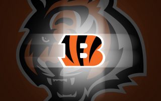 Cincinnati Bengals NFL Backgrounds HD With high-resolution 1920X1080 pixel. You can use this wallpaper for your Mac or Windows Desktop Background, iPhone, Android or Tablet and another Smartphone device