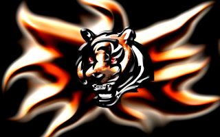 Cincinnati Bengals NFL Desktop Wallpapers With high-resolution 1920X1080 pixel. You can use this wallpaper for your Mac or Windows Desktop Background, iPhone, Android or Tablet and another Smartphone device