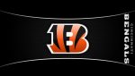 Cincinnati Bengals NFL For Desktop Wallpaper